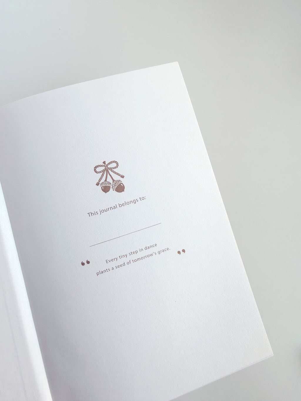 Little Acorn A5 Dot Grid Journal - 160gsm Paper