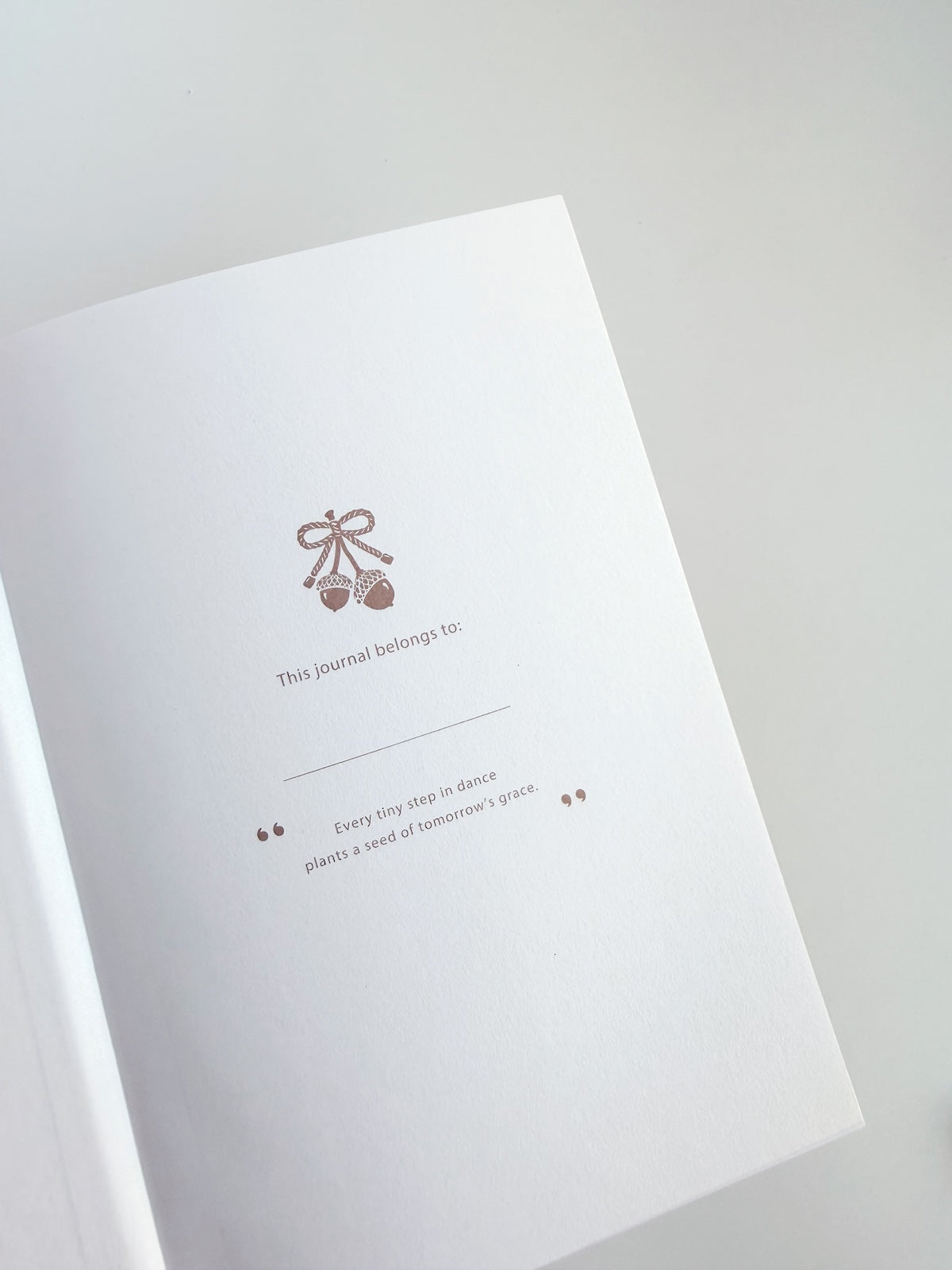Little Acorn A5 Dot Grid Journal - 160gsm Paper